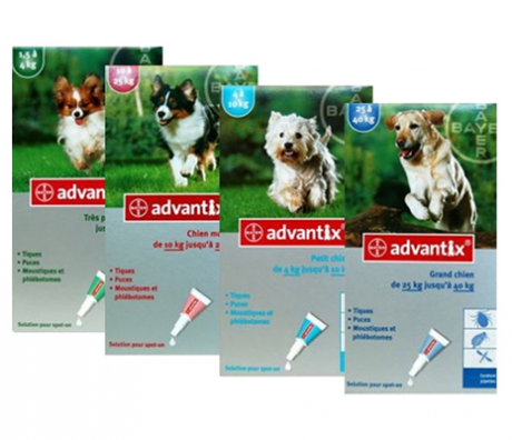  ADVANTIX SPOT ON CANI FINO A 4KG  4 PIPETTE, Farmaci Veterinari, Antiparassitari, 
